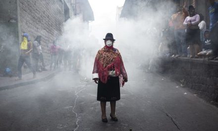 Canadian Organizations Stand in Solidarity with Indigenous, Labour and Civil Society Organizations in Ecuador Protesting Neoliberal Economic Reforms.